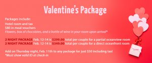 218903 Bhg Banner Valentines Package 1110x460