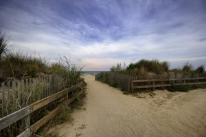 Dunes on a beach leading to the ocean with a blue sky in the view.