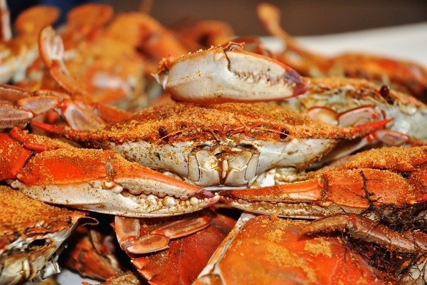 Crabs Covered In Old Bay 58444684 2