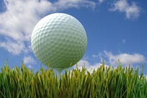 Golf Close Up Ball On Tee 16112461