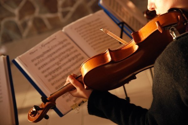 Music Violinist Playing While Reading Sheet Music