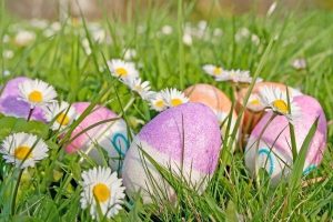 Easter Eggs Dyed In Grass